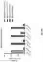Fig. 72 - Anti-Dectin-1 antibodies and methods of use thereof
