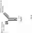 Fig. 75 - Anti-Dectin-1 antibodies and methods of use thereof