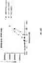 Fig. 81 - Anti-Dectin-1 antibodies and methods of use thereof