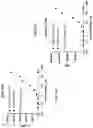 Fig. 84 - Anti-Dectin-1 antibodies and methods of use thereof