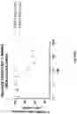 Fig. 92 - Anti-Dectin-1 antibodies and methods of use thereof