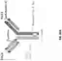 Fig. 94 - Anti-Dectin-1 antibodies and methods of use thereof