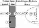 Fig. 01 - METHODS AND COMPOSITIONS FOR INCREASING N-ACETYLGLUCOSAMINIDASE ACTIVITY IN THE CNS