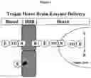 Fig. 02 - METHODS AND COMPOSITIONS FOR INCREASING N-ACETYLGLUCOSAMINIDASE ACTIVITY IN THE CNS