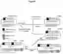 Fig. 05 - METHODS AND COMPOSITIONS FOR INCREASING N-ACETYLGLUCOSAMINIDASE ACTIVITY IN THE CNS