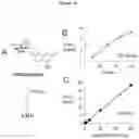 Fig. 14 - METHODS AND COMPOSITIONS FOR INCREASING N-ACETYLGLUCOSAMINIDASE ACTIVITY IN THE CNS
