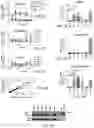 Fig. 03 - TRAILshort antibody and methods of use