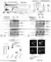 Fig. 04 - TRAILshort antibody and methods of use