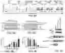 Fig. 06 - TRAILshort antibody and methods of use