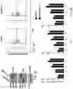 Fig. 10 - TRAILshort antibody and methods of use