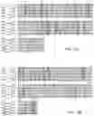 Fig. 13 - TRAILshort antibody and methods of use