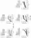Fig. 18 - TRAILshort antibody and methods of use