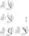 Fig. 19 - TRAILshort antibody and methods of use