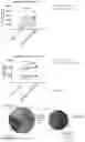 Fig. 37 - TRAILshort antibody and methods of use