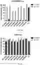 Fig. 07 - CHIMERIC ANTIGEN RECEPTORS TARGETING BCMA AND METHODS OF USE THEREOF