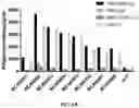 Fig. 10 - CHIMERIC ANTIGEN RECEPTORS TARGETING BCMA AND METHODS OF USE THEREOF