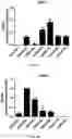 Fig. 14 - CHIMERIC ANTIGEN RECEPTORS TARGETING BCMA AND METHODS OF USE THEREOF
