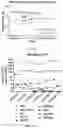 Fig. 19 - CHIMERIC ANTIGEN RECEPTORS TARGETING BCMA AND METHODS OF USE THEREOF