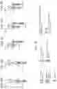 Fig. 17 - SYSTEMS AND METHODS FOR TARGETING CANCER CELLS