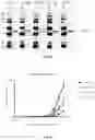 Fig. 03 - Antibodies against hEPCR