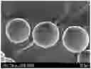 Fig. 01 - HYDROPHOBIC ALGINIC ACID PARTICLE GROUP AND METHOD FOR PRODUCING SAME