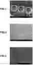 Fig. 02 - HYDROPHOBIC ALGINIC ACID PARTICLE GROUP AND METHOD FOR PRODUCING SAME