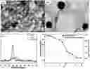 Fig. 01 - CHITOSAN-BASED NANOCOMPOSITE AS AN ANTIMICROBIAL AGENT AND CORROSION INHIBITOR