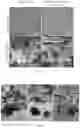Fig. 15 - CHITOSAN-BASED NANOCOMPOSITE AS AN ANTIMICROBIAL AGENT AND CORROSION INHIBITOR