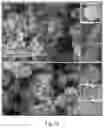 Fig. 21 - CHITOSAN-BASED NANOCOMPOSITE AS AN ANTIMICROBIAL AGENT AND CORROSION INHIBITOR
