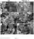 Fig. 24 - CHITOSAN-BASED NANOCOMPOSITE AS AN ANTIMICROBIAL AGENT AND CORROSION INHIBITOR