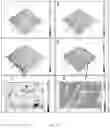 Fig. 27 - CHITOSAN-BASED NANOCOMPOSITE AS AN ANTIMICROBIAL AGENT AND CORROSION INHIBITOR