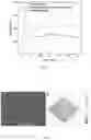 Fig. 30 - CHITOSAN-BASED NANOCOMPOSITE AS AN ANTIMICROBIAL AGENT AND CORROSION INHIBITOR