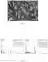 Fig. 32 - CHITOSAN-BASED NANOCOMPOSITE AS AN ANTIMICROBIAL AGENT AND CORROSION INHIBITOR