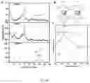 Fig. 34 - CHITOSAN-BASED NANOCOMPOSITE AS AN ANTIMICROBIAL AGENT AND CORROSION INHIBITOR