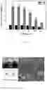 Fig. 43 - CHITOSAN-BASED NANOCOMPOSITE AS AN ANTIMICROBIAL AGENT AND CORROSION INHIBITOR