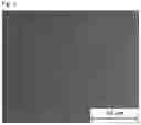 Fig. 02 - Upgraded recycled polyethylene polypropylene blend