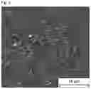 Fig. 03 - Upgraded recycled polyethylene polypropylene blend