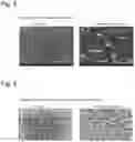Fig. 04 - Sealant film