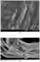 Fig. 03 - Compact compound comprising silanized hydroxyl graphene with thermosetting polymer