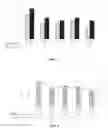 Fig. 03 - Highly reflective resinous coatings
