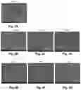 Fig. 03 - PACKAGING COATINGS, PACKAGING PRODUCTS, AND METHODS OF MAKING