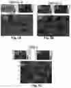 Fig. 04 - PACKAGING COATINGS, PACKAGING PRODUCTS, AND METHODS OF MAKING