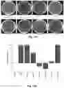 Fig. 15 - PACKAGING COATINGS, PACKAGING PRODUCTS, AND METHODS OF MAKING