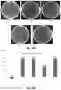 Fig. 21 - PACKAGING COATINGS, PACKAGING PRODUCTS, AND METHODS OF MAKING