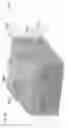 Fig. 17 - Bio-electronic devices including hydrolytically stable polymers