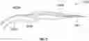 Fig. 10 - CHARCOAL ADHESIVE COMPOSITION FOR LASHES OR LASH EXTENSIONS