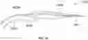 Fig. 11 - CHARCOAL ADHESIVE COMPOSITION FOR LASHES OR LASH EXTENSIONS
