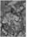 Fig. 02 - Non-aqueous cleaner for vegetable oil soils