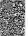 Fig. 03 - Non-aqueous cleaner for vegetable oil soils