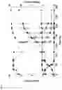 Fig. 08 - MALTOTRIOSE METABOLIZING MUTANTS OF SACCHAROMYCES EUBAYANUS